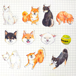 【22枚セット】柴犬さんたちのフレークシール 全11種類 3枚目の画像