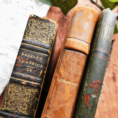 ゜.:。:.背表紙が素敵な古書 英国・フランスのヴィンテージ本3冊セット