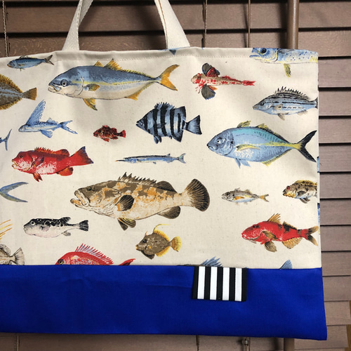 お魚大好き！ 入園入学 お得な5点セット 幼稚園 保育園 小学生