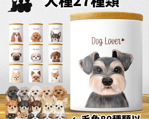 84bcef005da3fc2eb99a531923cf4c