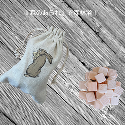 Mori no Arare Rabbit design Ⅰ -森林香囊- 第3張的照片