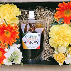 【フラワーギフト】　COFFEE FOREST HONEY-コーヒーの原生林の花から採れた完熟「生」はちみつ-　 1枚目の画像