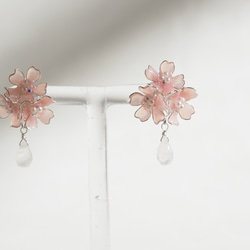桜とムーンストーンのピアス・イヤリング 5枚目の画像