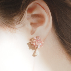 桜とムーンストーンのピアス・イヤリング 11枚目の画像