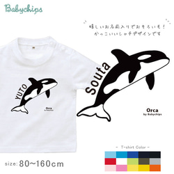 new✻大好評　✻✻シャチ✻ 水族館　お出かけ　出産祝い　半袖Tシャツ　名入れ【商品番号st-animal208】 1枚目の画像