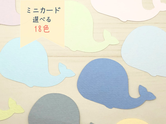 ミニカード《18色》くじら【B034】メッセージカード/タグ
