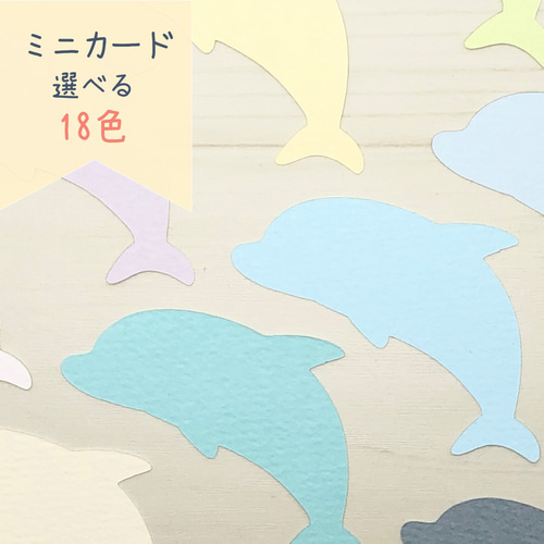 🌼色紙 新商品 発売🌼 - Z&K