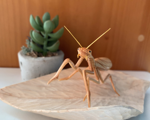 蟷螂~カマキリ~の護り置物 檜 彫刻アート・木工 受注生産商品 蟷螂~カマキリ~の護り置物 檜 彫刻アート・木工 受注生産商品
