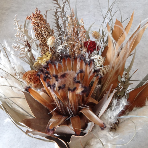特大 55cm プロテア ネイティブ ユーカリ パンパスグラス スワッグ