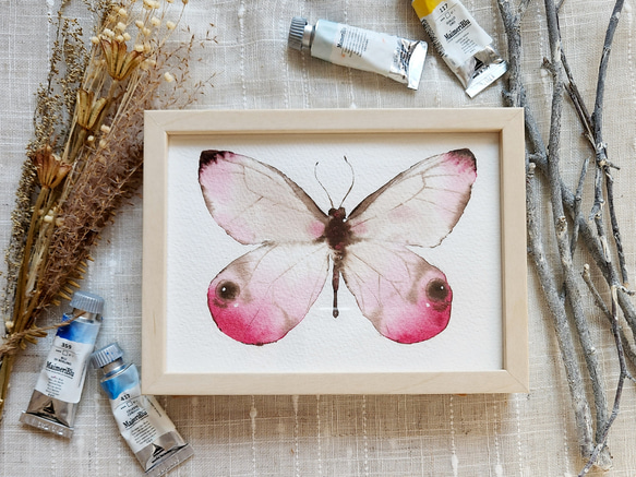 ベニスカシジャノメ 』額装 透明水彩原画 イラスト インテリア