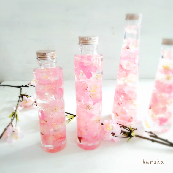 桜のハーバリウム2本セット　春色　春ディスプレイ　サクラ　桜色 1枚目の画像