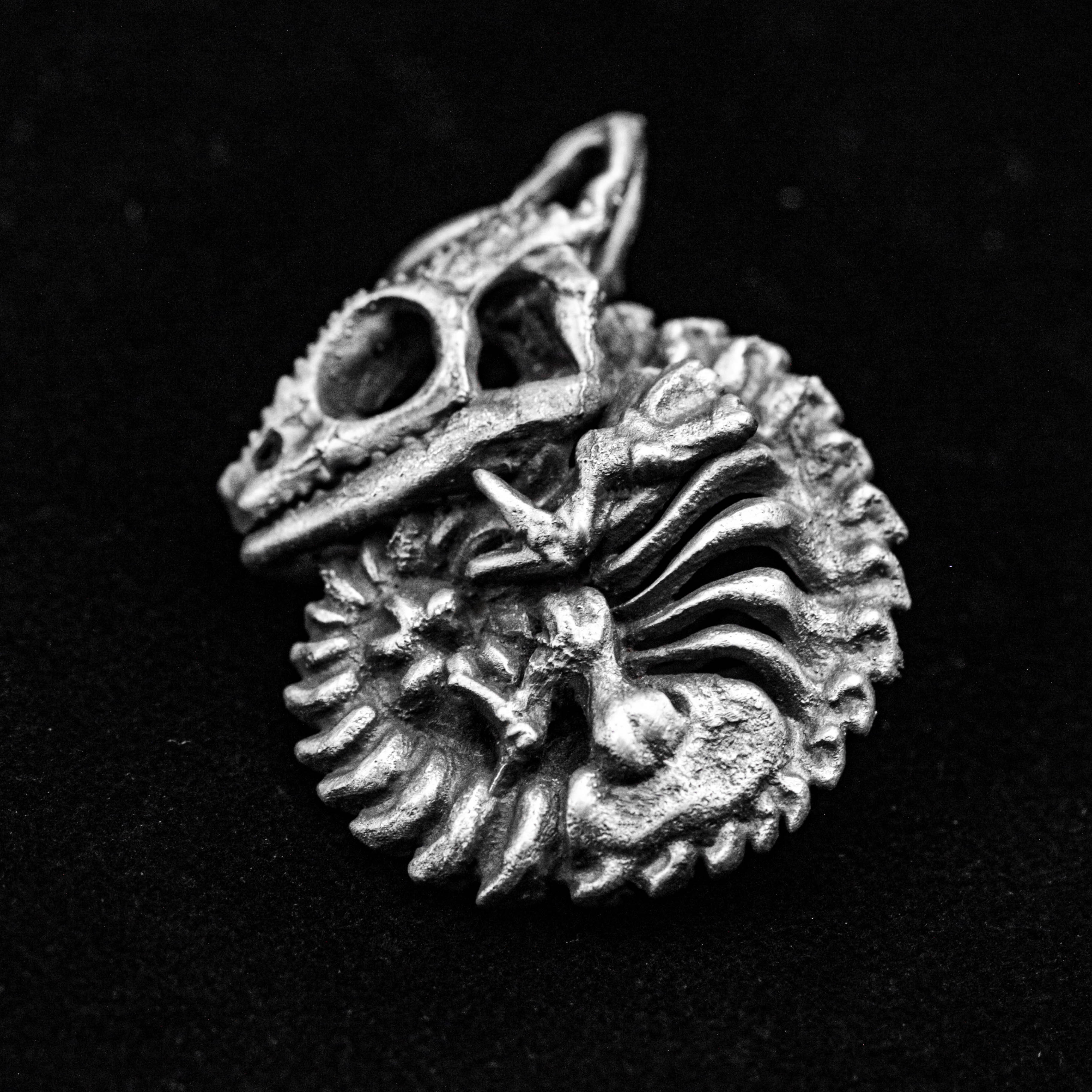 ひげを生やしたドラゴンスカルペンダント、頭蓋骨のペンダント、リザードスカルシルバーペンダント、丸いネックレス