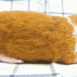 客製化禮物 羊毛氈 擬真 寵物 復刻 仿真寵物 豚鼠 葵鼠 植毛款 第5張的照片