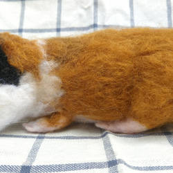 客製化禮物 羊毛氈 擬真 寵物 復刻 仿真寵物 豚鼠 葵鼠 植毛款 第2張的照片