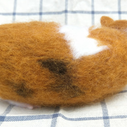 客製化禮物 羊毛氈 擬真 寵物 復刻 仿真寵物 葵鼠 豚鼠 植毛款 第4張的照片