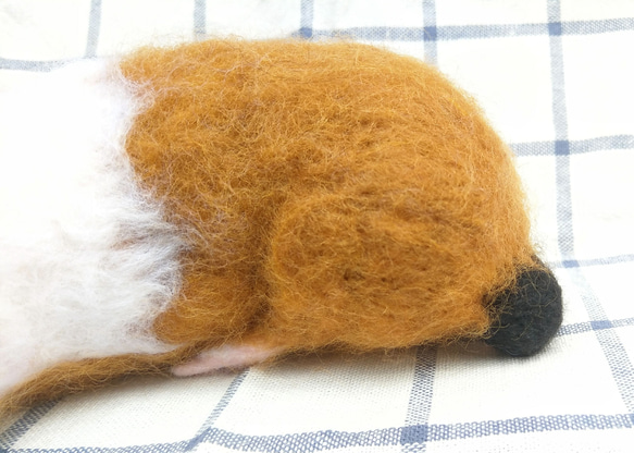 客製化禮物 羊毛氈 擬真 寵物 復刻 仿真寵物 葵鼠 豚鼠 植毛款 第2張的照片