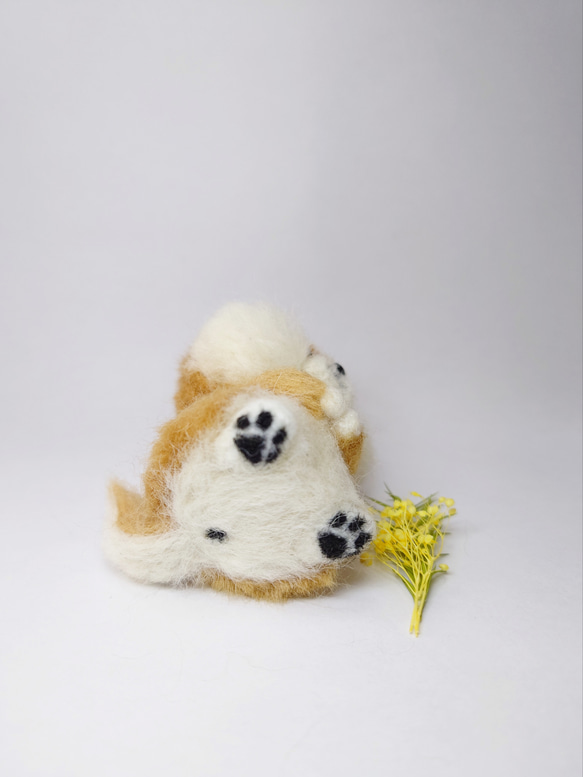 柴犬とお花(黄色)　～Wool Farm～　羊毛フェルト 5枚目の画像