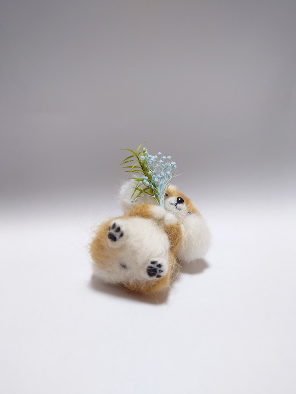 柴犬とお花(水色)　～Wool Farm～　羊毛フェルト 5枚目の画像