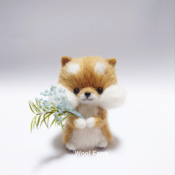 柴犬とお花(水色)　～Wool Farm～　羊毛フェルト 1枚目の画像