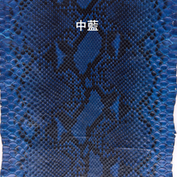 藍染パイソン「PYTHON BLUE」ロングウォレット　バックカット 10枚目の画像