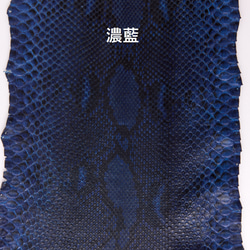 藍染パイソン「PYTHON BLUE」ロングウォレット　バックカット 11枚目の画像