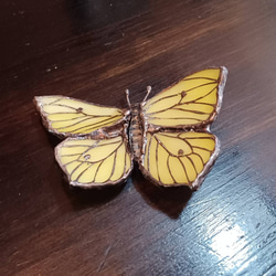 蝶々のブローチ 2枚目の画像