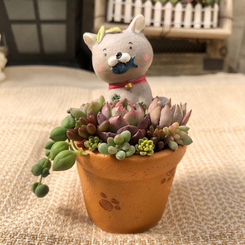 ★多肉植物　寄せ植え〜木樽　ねこちゃん〜そのまま飾れます(*≧∀≦*)★ ☆多肉植物寄せ植え〜木樽ねこちゃん〜そのまま飾れます(*≧∀≦*)☆