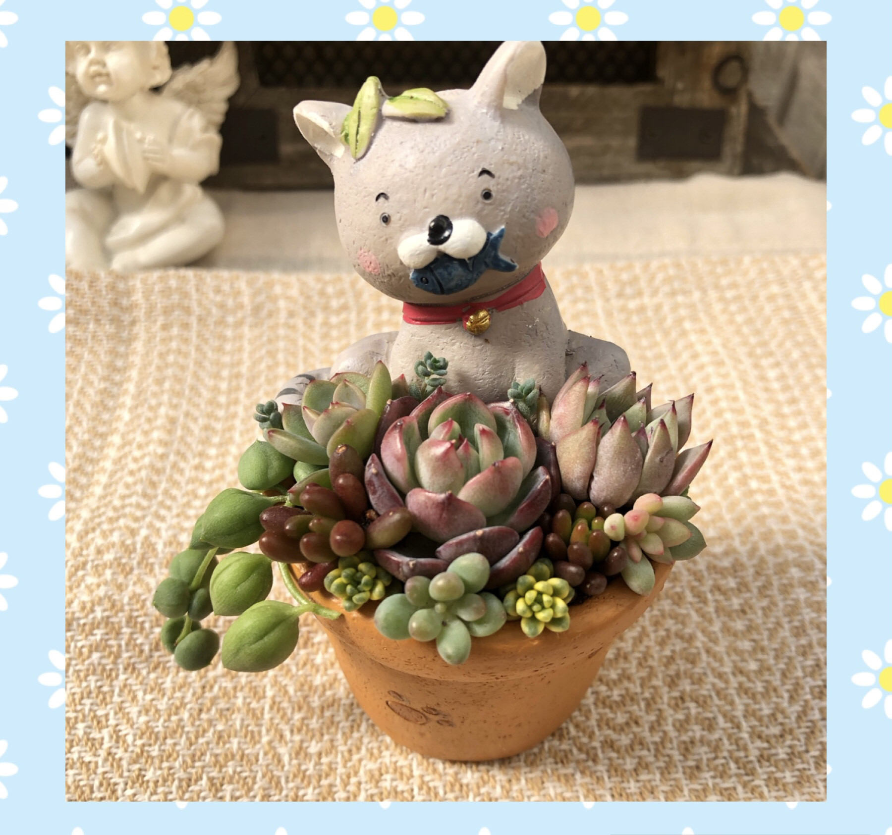 ★多肉植物　寄せ植え〜ねこちゃんの手作り水栓プランター〜★