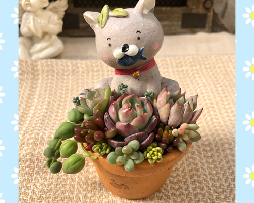 このまま飾れます】仲良し猫さんゾウさん♡多肉植物寄せ植え