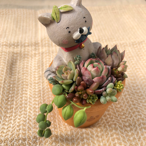 このまま飾れます☺︎】可愛い猫鉢♡多肉植物寄せ植え 多肉植物