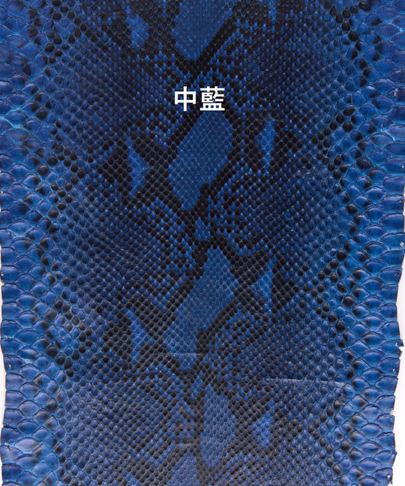 藍染パイソン「PYTHON BLUE」ロングウォレット　フロントカット 10枚目の画像