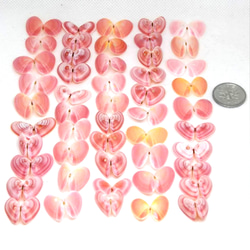 シーグラスアート 花火 その他アート puqoo 通販 14237569｜Creema