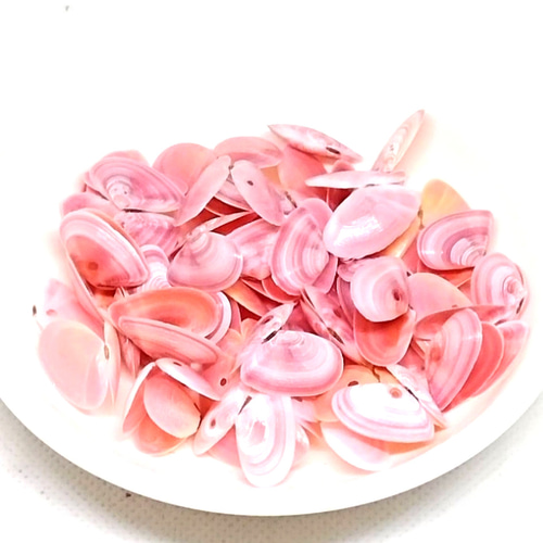 天然 桜貝 合貝 50個(100枚) 大サイズ その他素材 puqoo 通販 15263237