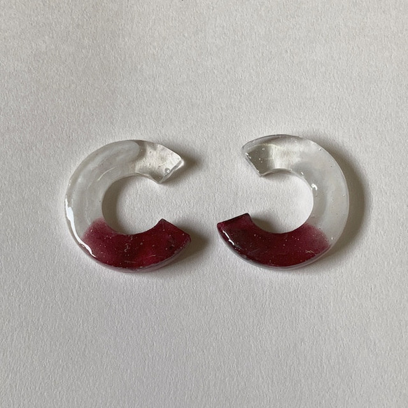 無花果(pierce/earring) 1枚目の画像
