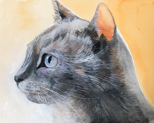 灰色猫/サムホールサイズ[原画・動物画・猫の絵・水彩画・絵画