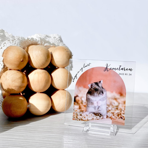 ペット遺影 ｜ 持ち歩きサイズ ハムスター 文鳥 ポケットサイズ 薄い