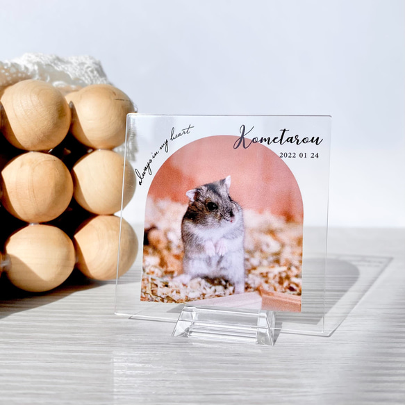 ペット遺影 ｜ 持ち歩きサイズ ハムスター 文鳥 ポケットサイズ 薄い