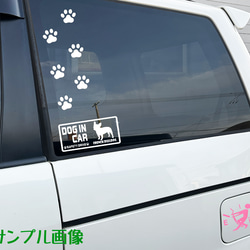 『DOG IN CAR ・SAFETY DRIVE・チワワ ①』ステッカー　8cm×17cm 3枚目の画像