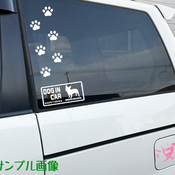 『DOG IN CAR ・SAFETY DRIVE・チワワ ②』ステッカー　8cm×17cm 3枚目の画像