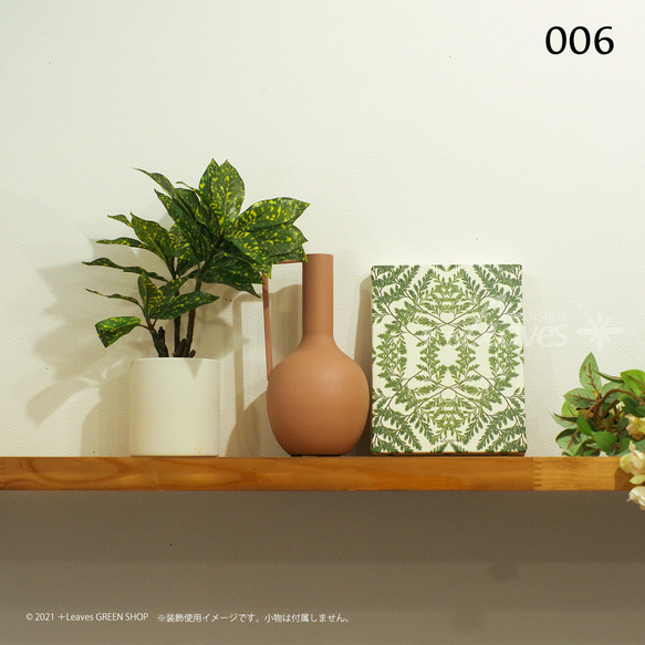 006 緑のレース インテリア 植物アートパネル【クリックポスト対応可：可/1通2点まで】シダ植物 4枚目の画像