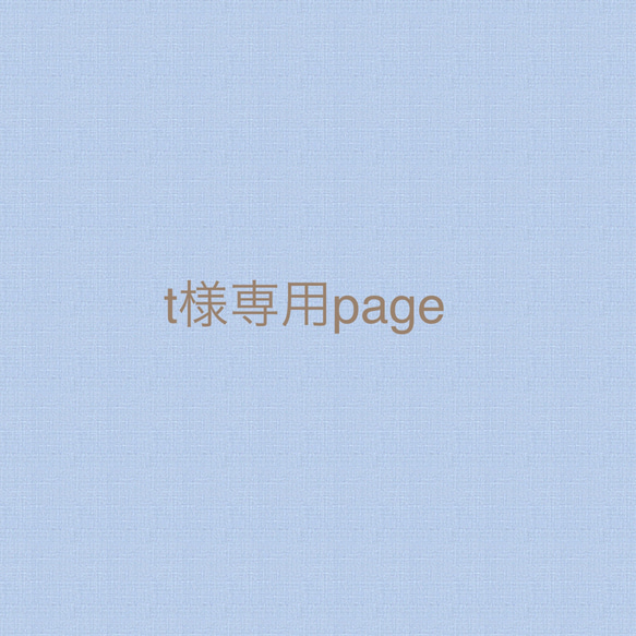 t様専用page 1枚目の画像