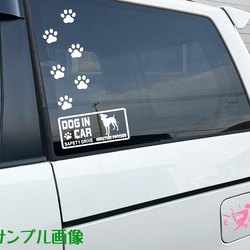 『DOG IN CAR ・SAFETY DRIVE・ミニチュアシュナウザー』ステッカー　8cm×17cm 3枚目の画像