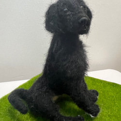 羊毛フェルト　 フラット・コーテッド・レトリーバー フラットコーテッドレトリバー 黒 羊毛フェルト Wool Whisper 通販