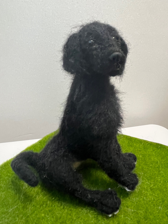 フラットコーテッドレトリバーI II 羊毛フェルト Wool Whisper 通販 