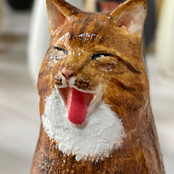 世界にひとつ 猫小法師 イチカ ネコのオブジェ ソーシャルグッド サイベリアン 1枚目の画像