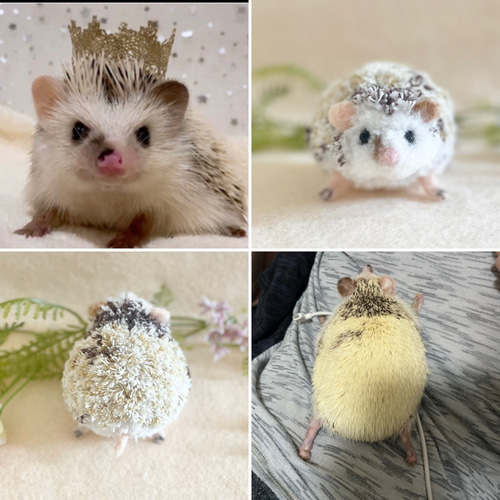 ハリネズミのうちの子ポンポンチャーム オーダーページ ぬいぐるみ