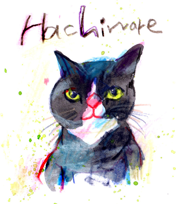 Hachiware 2枚目の画像