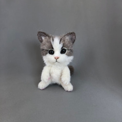 羊毛フェルト　猫 　『アクロン様』専用ページ 羊毛フェルトキット 『ハマナカ フェルト羊毛キット 白ねこと