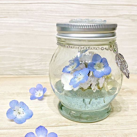 【本物のネモフィラ】お手頃価格ボトル 【Nemophila  hydrangea】 2枚目の画像