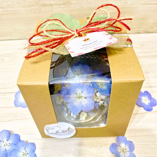 NEMOPHILA ネモフィラ サイン入りブロマイド5枚セット1